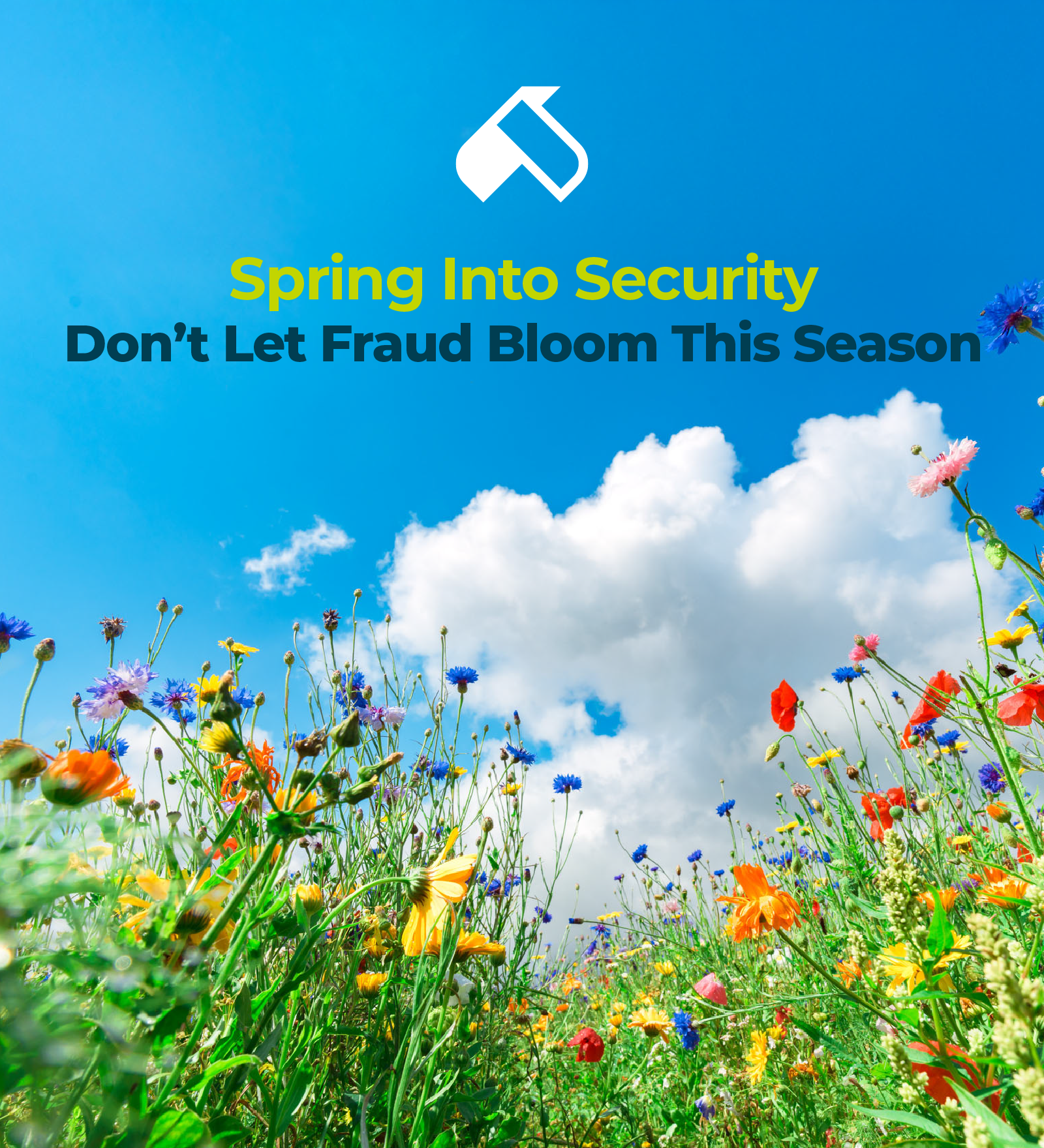 Wildflower field under blue sky with clouds and text 'Spring Into Security: Don't Let Fraud Bloom This Season'